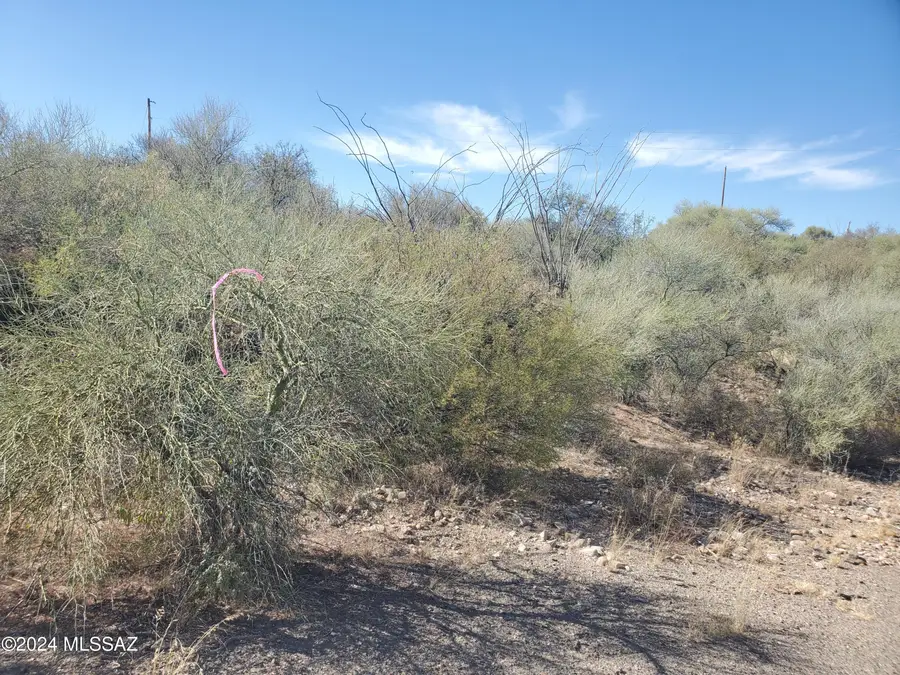 1978 Calle Cominos, Rio Rico, AZ 85648 - Image #2