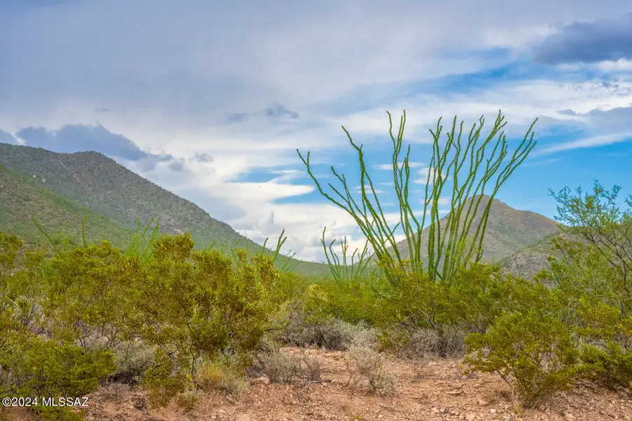 62 Acres Ghost Town Trail, Elfrida, AZ 85610 - Image #2