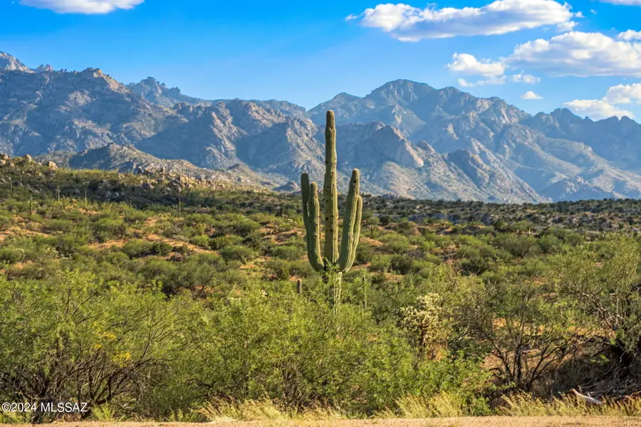 16500 N Ridge Rock Trail, Tucson, AZ 85739 - Image #3