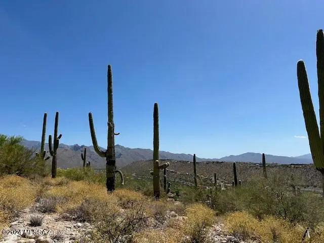 4160 N Painted Quail Place #81, Tucson, AZ 85750 - Image #3