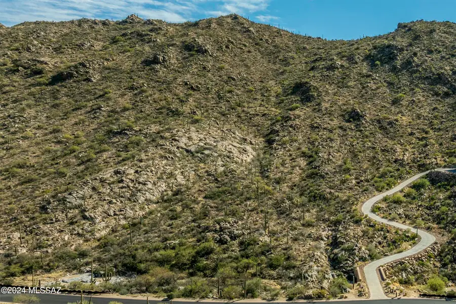 15090 N Dove Canyon Pass #173, Marana, AZ 85658 - Image #2