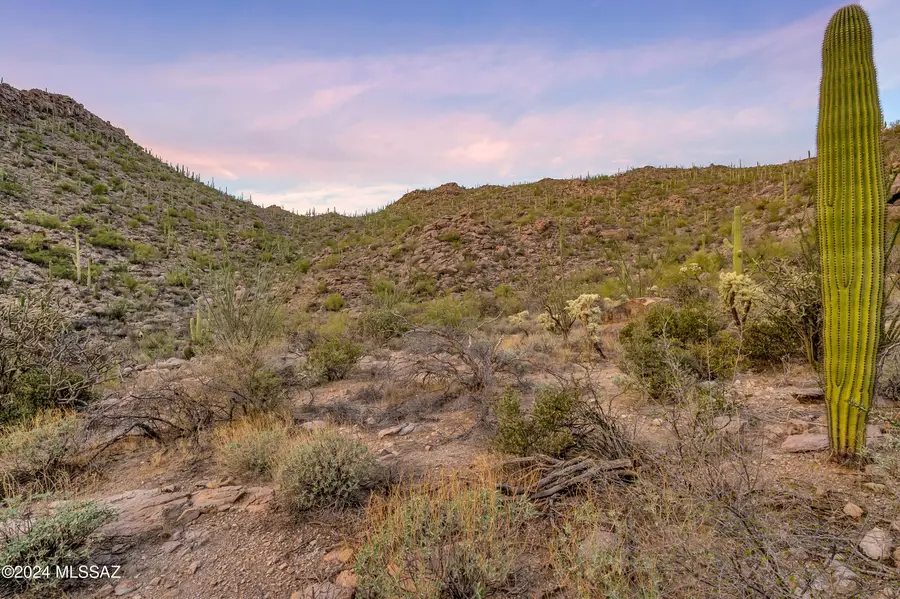 5282 W Gallery Canyon Place #7, Marana, AZ 85658 - Image #3