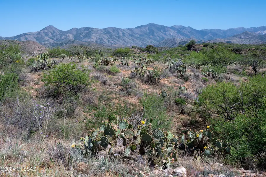 67919 E Madison, Oracle, AZ 85623 - Image #3