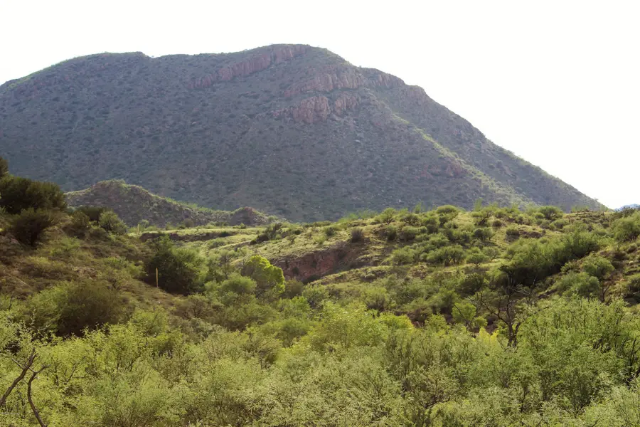 000 Alamo Canyon Drive #71, Tubac, AZ 85646 - Image #2