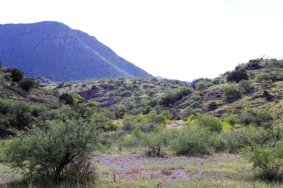 000 Alamo Canyon Drive #71, Tubac, AZ 85646 - Image #3
