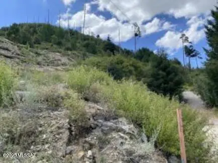 12955 N Phoenix, Summerhaven, AZ 85619 - Image #3