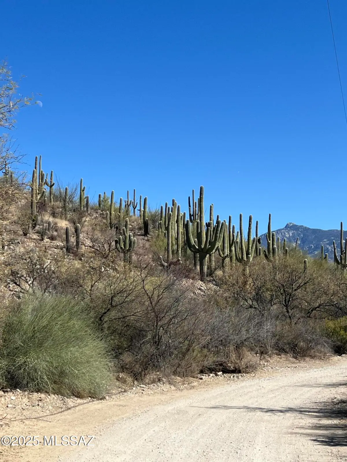 15175 E Rincon Creek Ranch Road, Tucson, AZ 85747 - Image #1