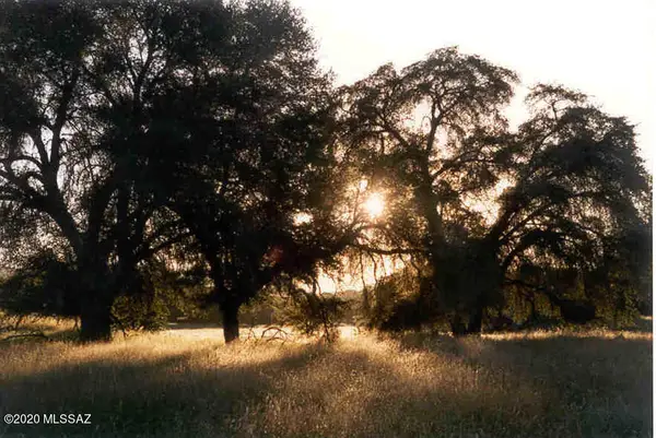 TBD San Rafael Valley Road, Patagonia, AZ 85624