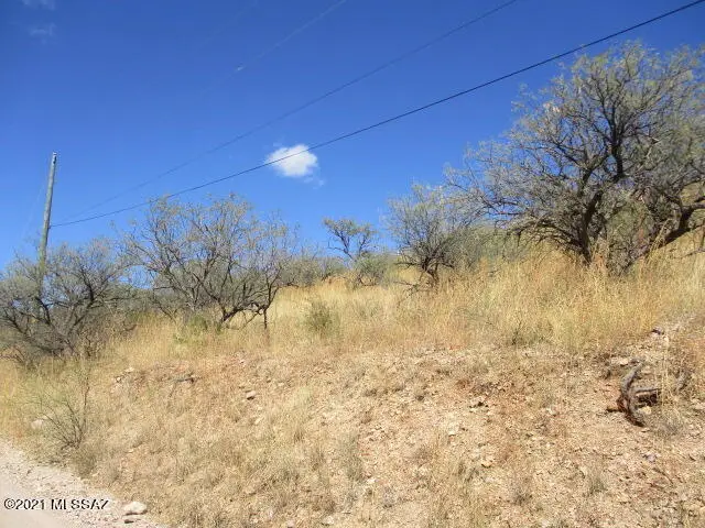 967 Corte Arboles #60, Rio Rico, AZ 85648 - Image #3