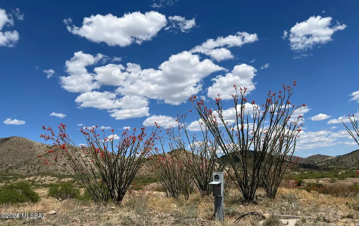 TBD Cougar Pass #113/115, Tubac, AZ 85646 - Image #1