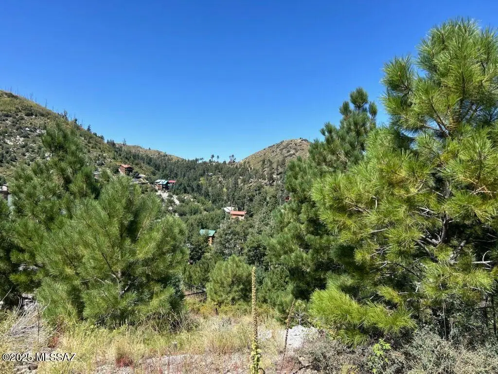12802 N Ray, Mount Lemmon, AZ 85619 - Image #1