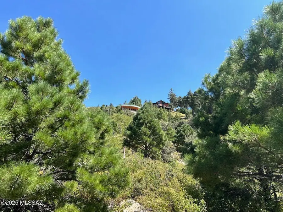 12802 N Ray, Mount Lemmon, AZ 85619 - Image #3