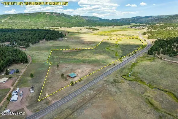 42856 Us Highway 180, Alpine, AZ 85920