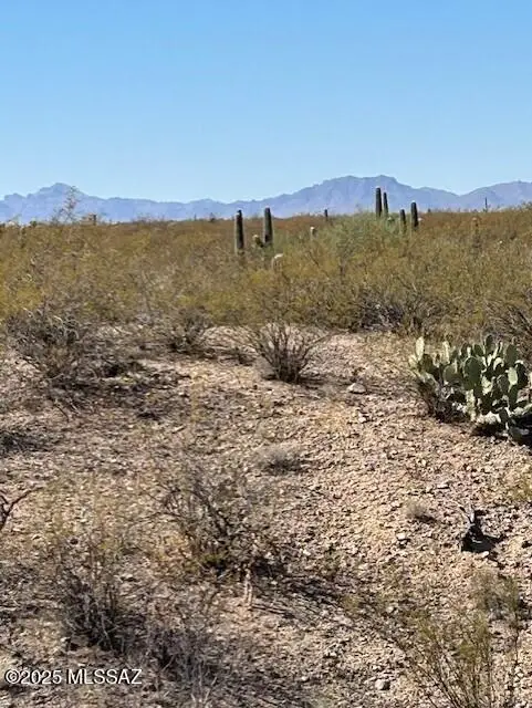 2046 E Old Stone House Trail #61, Sahuarita, AZ 85629 - Image #3