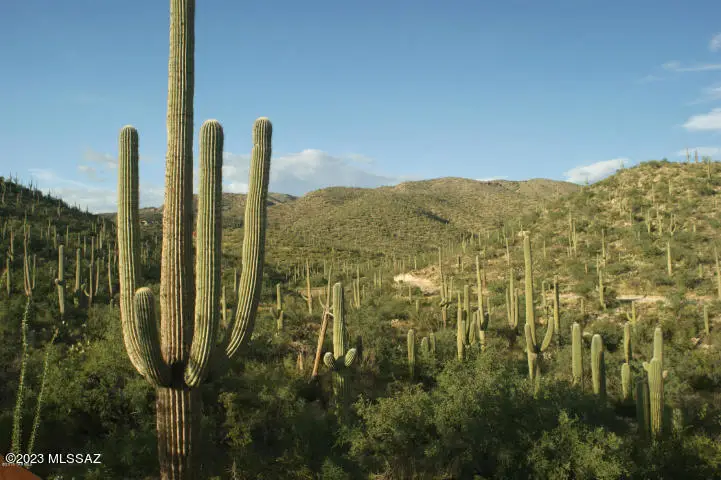 13665 Placita Del Inca E #10, Tucson, AZ 85749 - Image #2