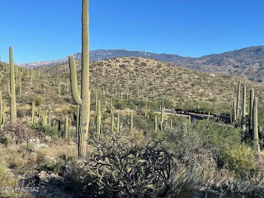 13665 Placita Del Inca E #10, Tucson, AZ 85749 - Image #3