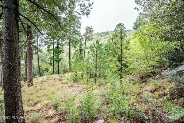 11188 E Globe Street #9, Mt. Lemmon, AZ 85619