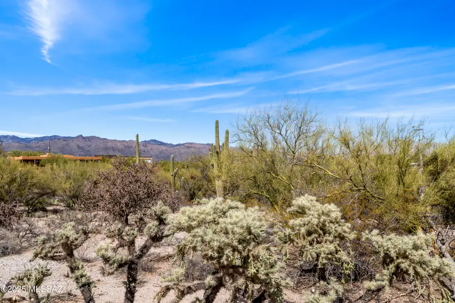 9633 E Giant Cacti Drive #14, Tucson, AZ 85749 - Image #3
