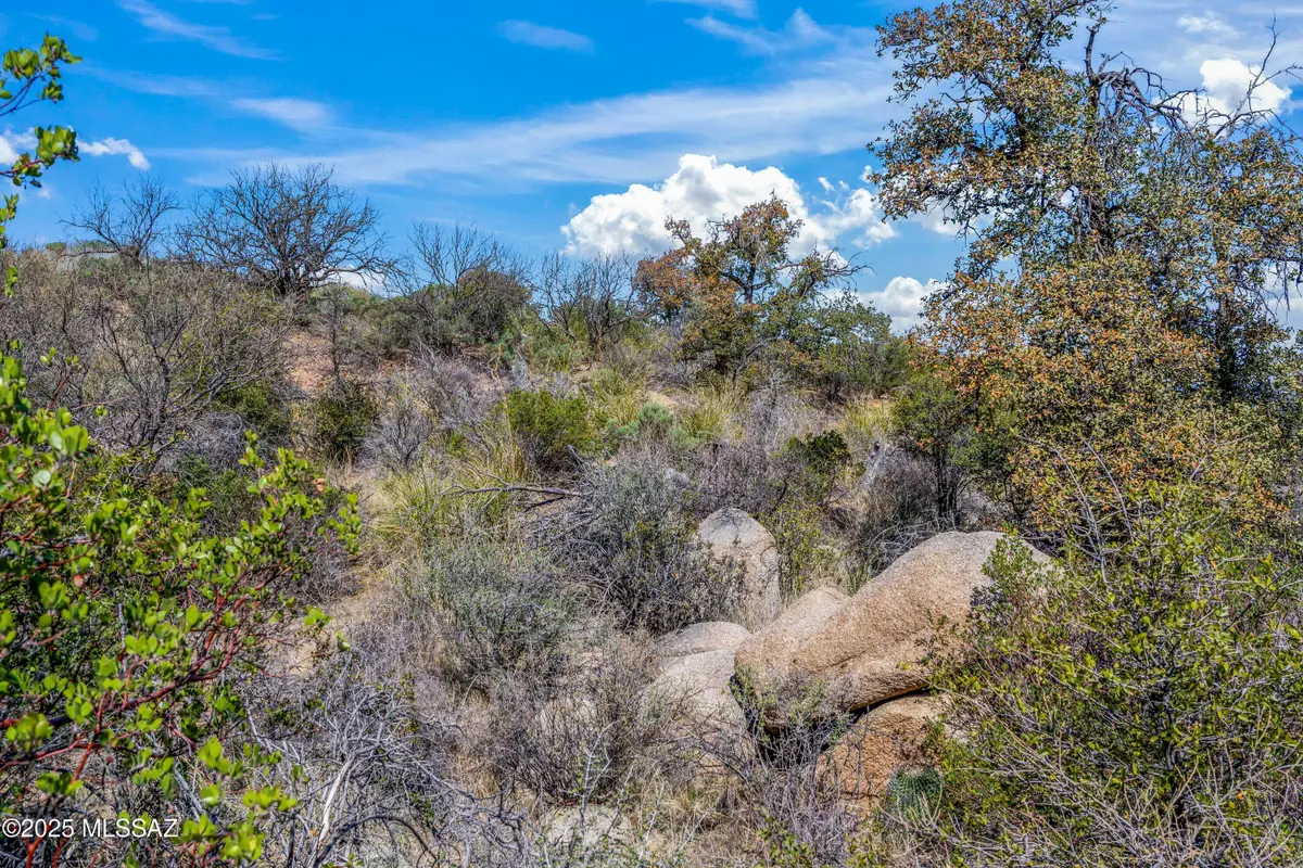 TBD E Mt. Lemmon Hwy, Oracle, AZ 85623 - Image #1