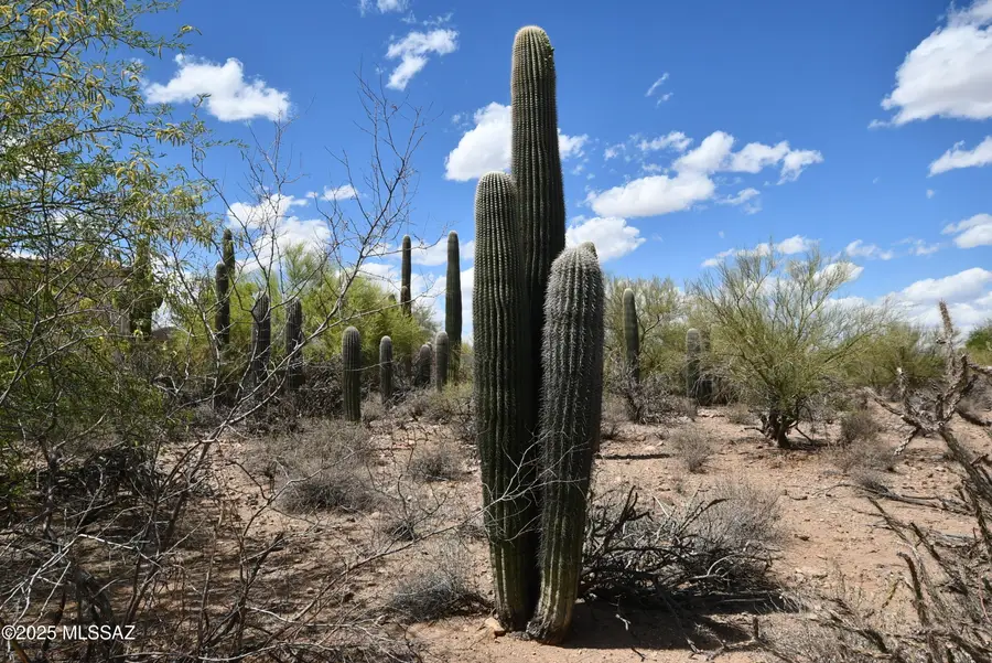 4840 N Avenida Corto #6, Tucson, AZ 85745 - Image #3