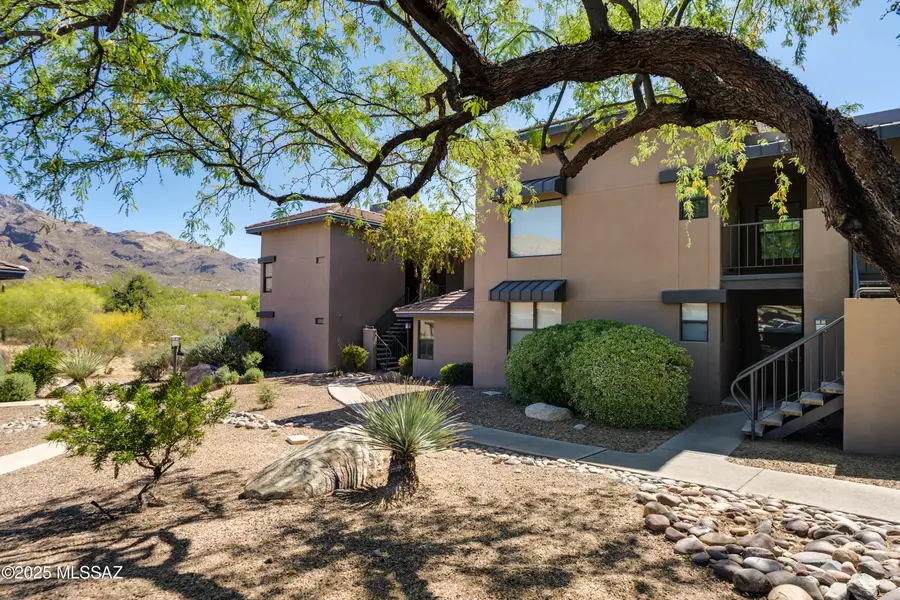 5800 N Kolb Road #11160, Tucson, AZ 85750 - Image #3