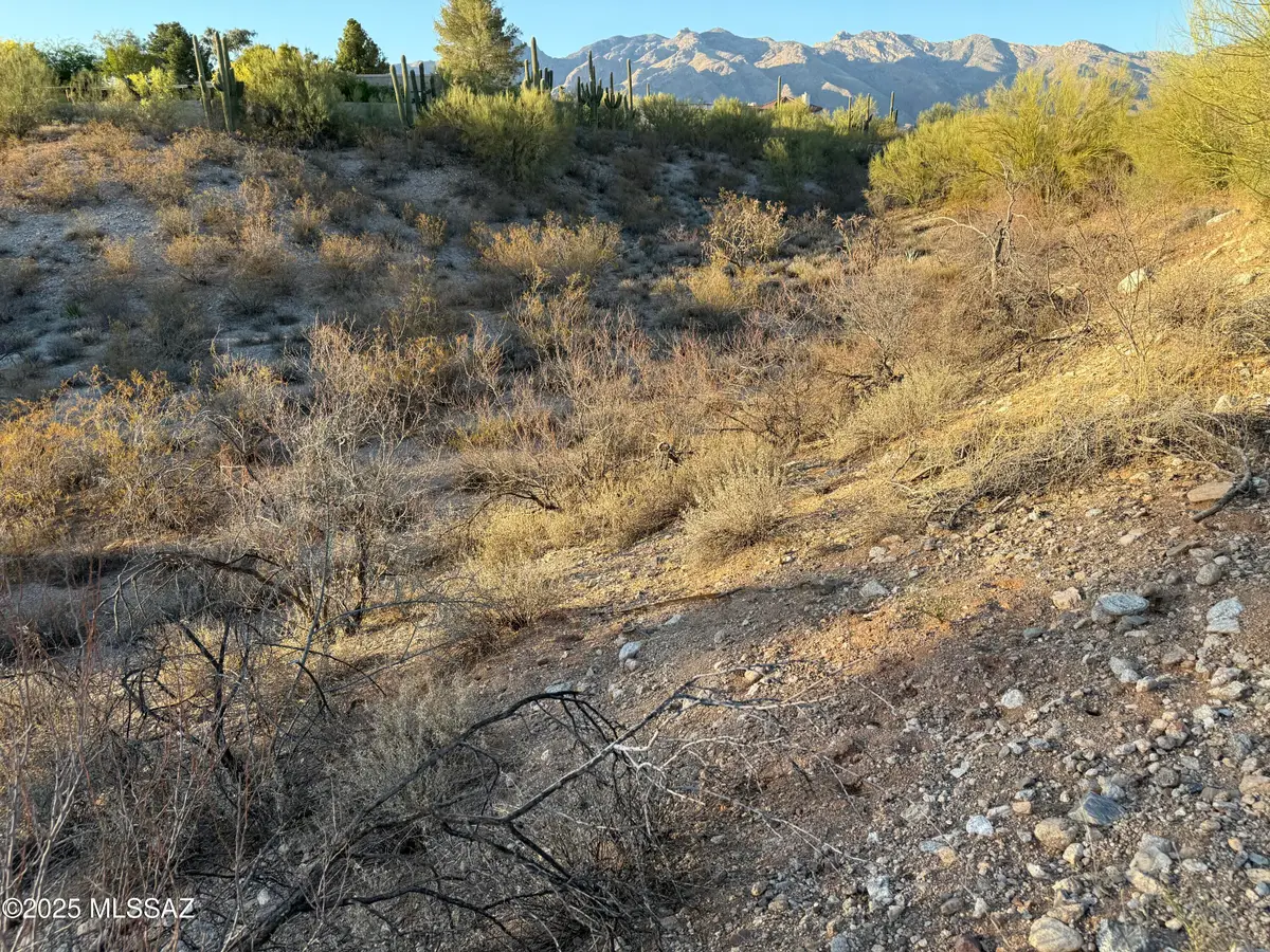 3961 E San Simeon, Tucson, AZ 85718 - Image #1