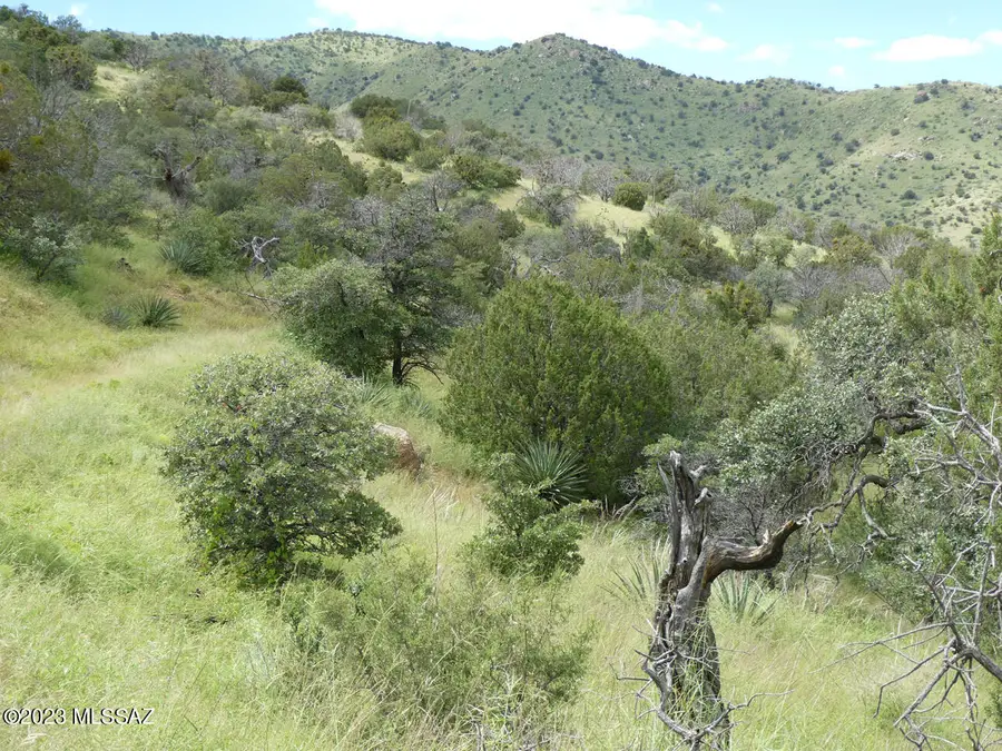 70 ac S Turkey Creek Road #1, San Simon, AZ 85632 - Image #2