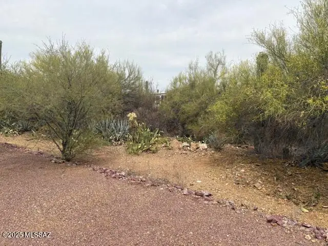 3503 S Rose Gold Avenue, Tucson, AZ 85735 - Image #3