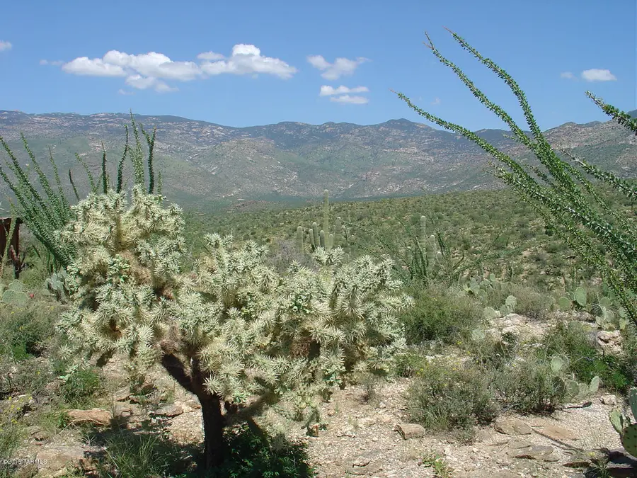 7301 S Red Hill, Vail, AZ 85641 - Image #2