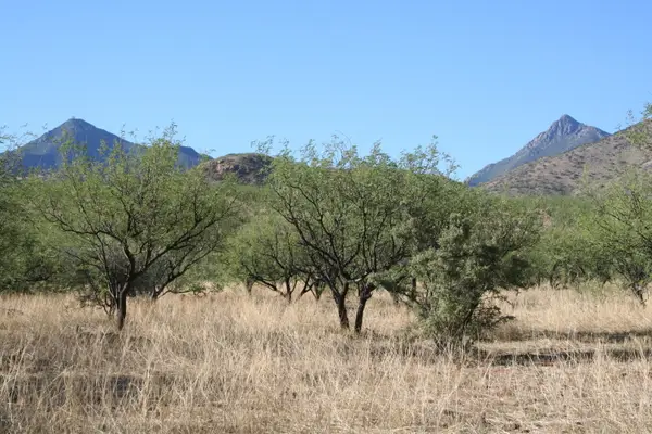 000 Bond Canyon Road #63, Tubac, AZ 85646