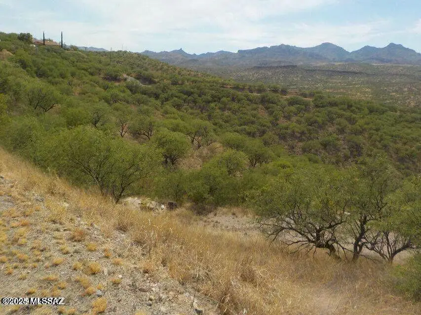 474 Camino Providencia, Rio Rico, AZ 85648 - Image #1