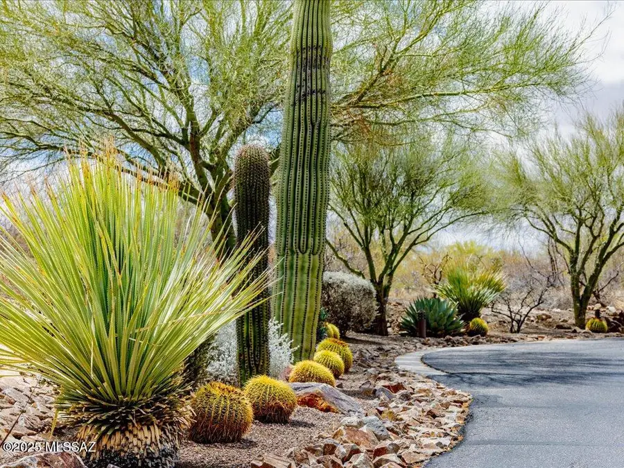 4250 Saguaro Monument Place #13, Tucson, AZ 85730 - Image #3