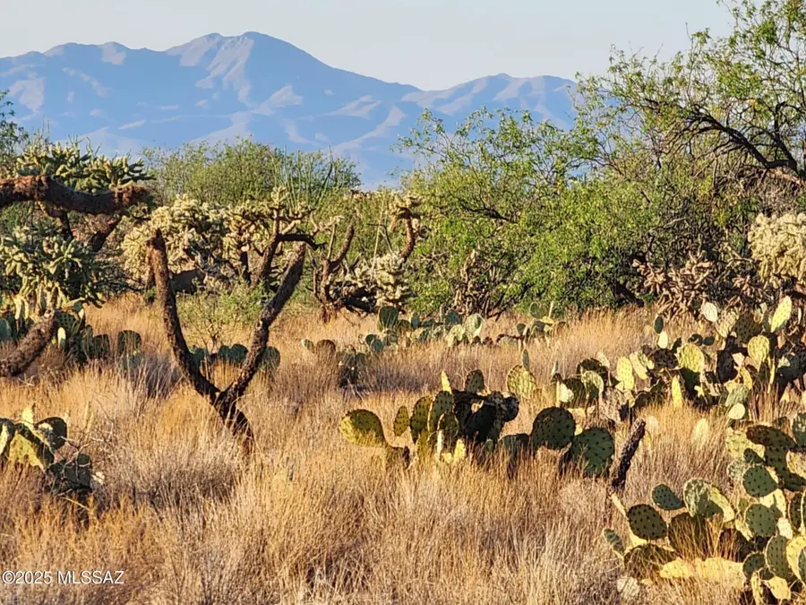 15035 S Muldoon Avenue #115, Tucson, AZ 85736 - Image #2