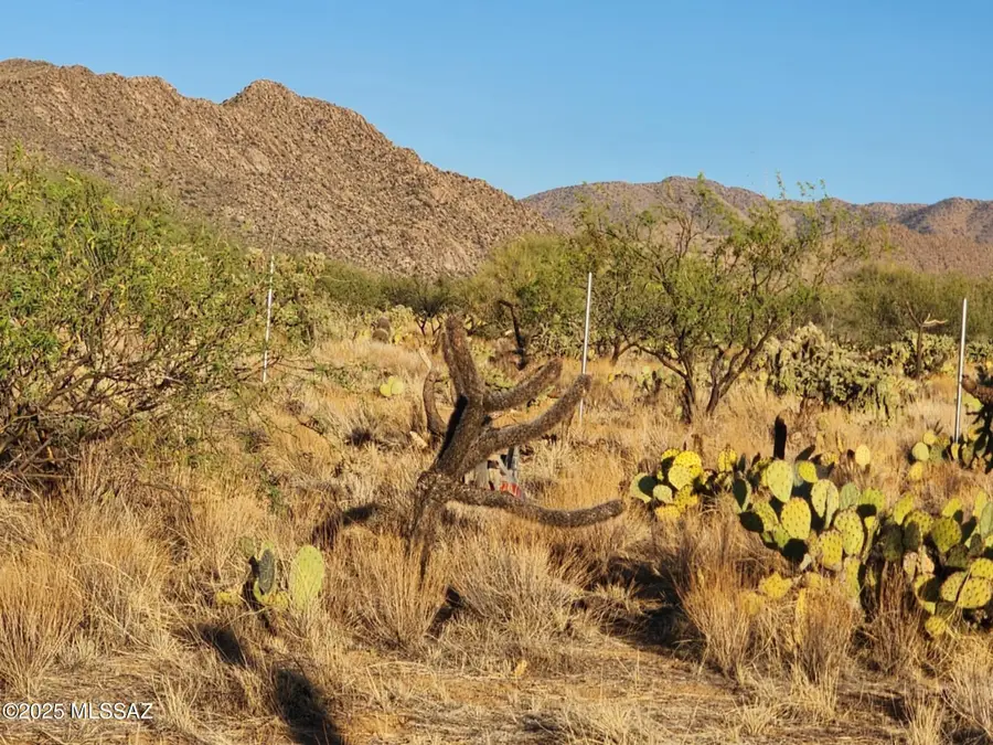 15035 S Muldoon Avenue #115, Tucson, AZ 85736 - Image #3