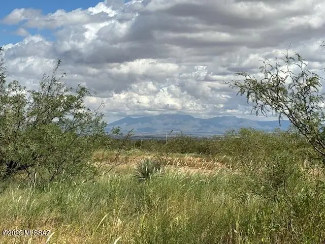 TBD N Central Rd And Zinnia #9/10, Pearce, AZ 85625 - Image #1