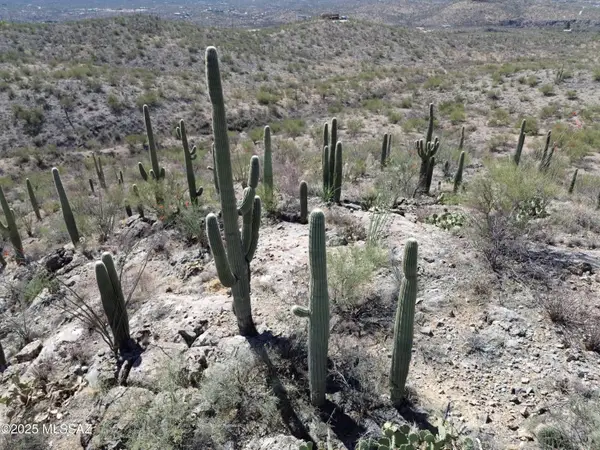 E Rincon Creek Ranch Road, Tucson, AZ 85747