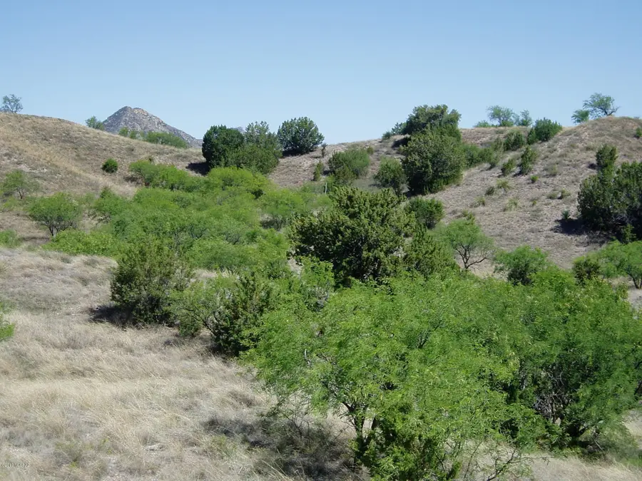 848 Side Oats Lane #194, Patagonia, AZ 85624 - Image #3