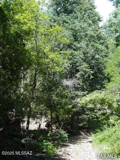 10920 E Tanager Lane, Summerhaven, AZ 85619 - Image #1