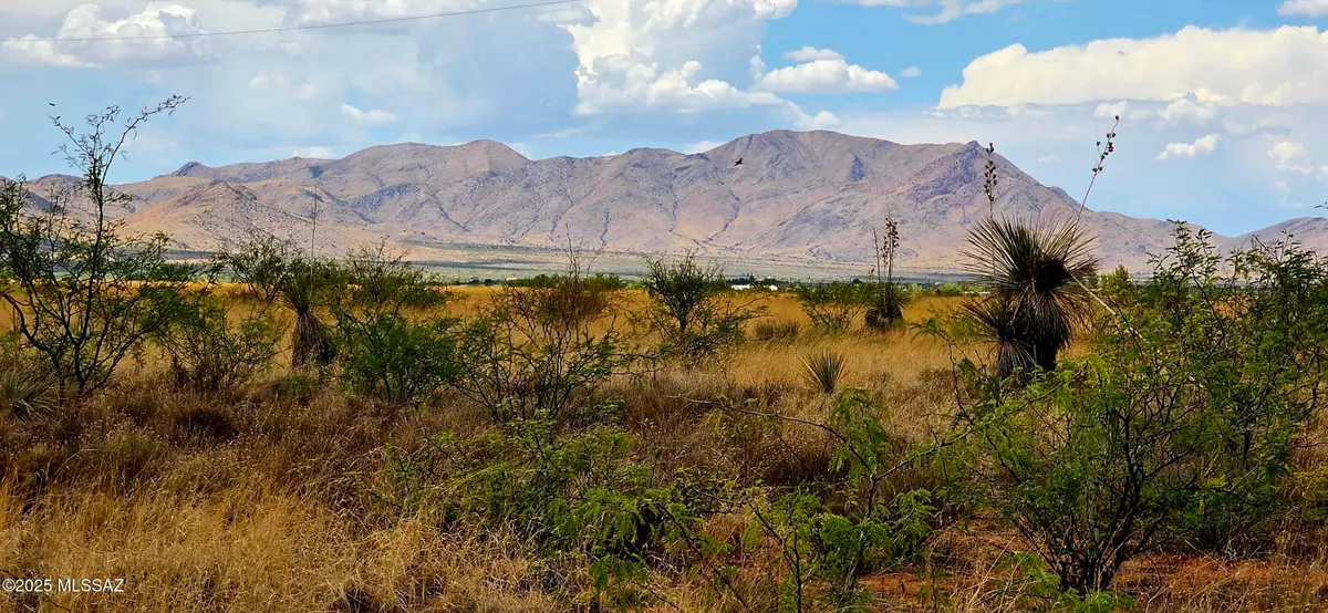 Lot 20 Willcox, Pearce, AZ 85625 - #1