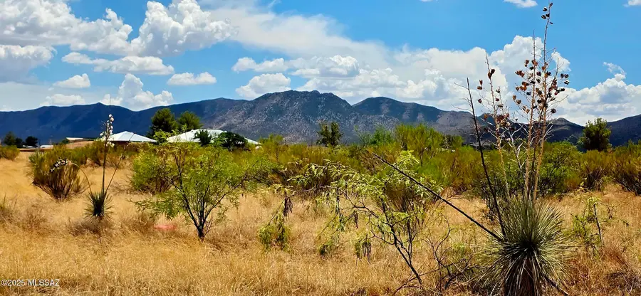 Lot 20 Willcox, Pearce, AZ 85625 - #2
