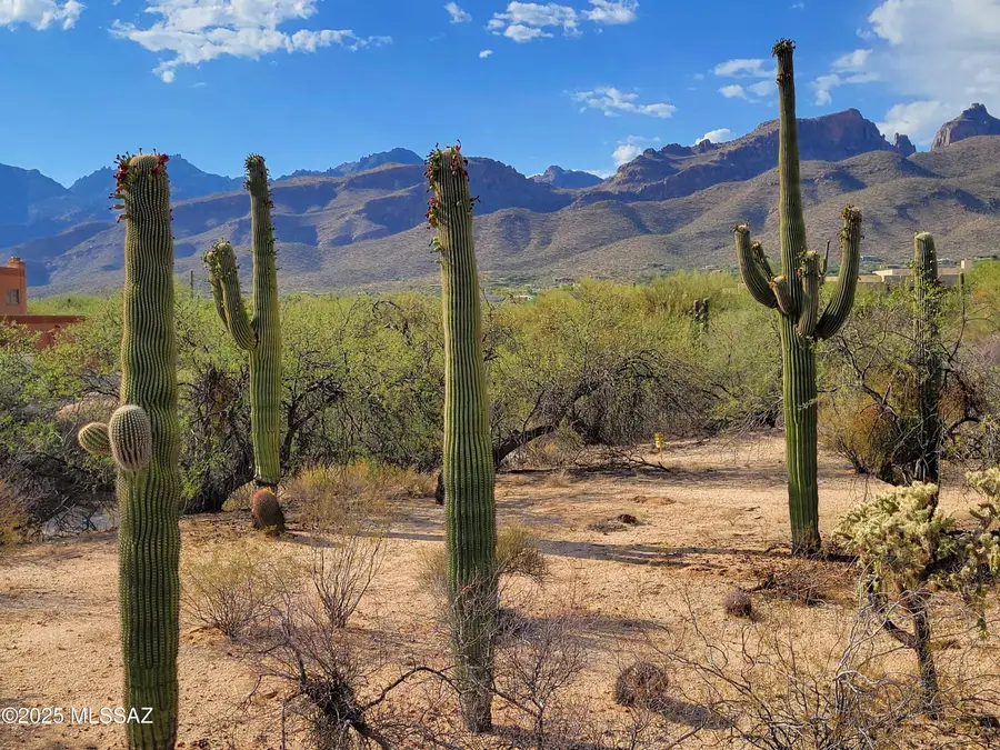 4480 N Bonanza Avenue, Tucson, AZ 85749 - Image #3