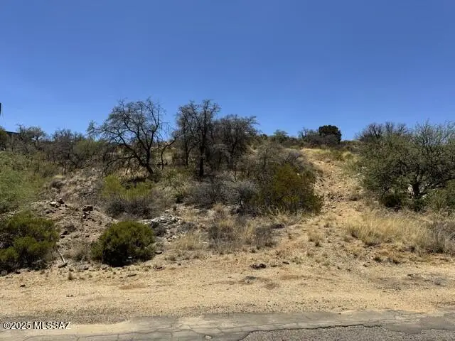 N Calle Futura (parcel 2) #2, Oracle, AZ 85623 - Image #1