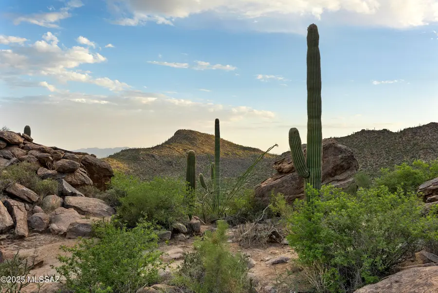 14421 N Phinny Rock Place #48, Marana, AZ 85658 - Image #3