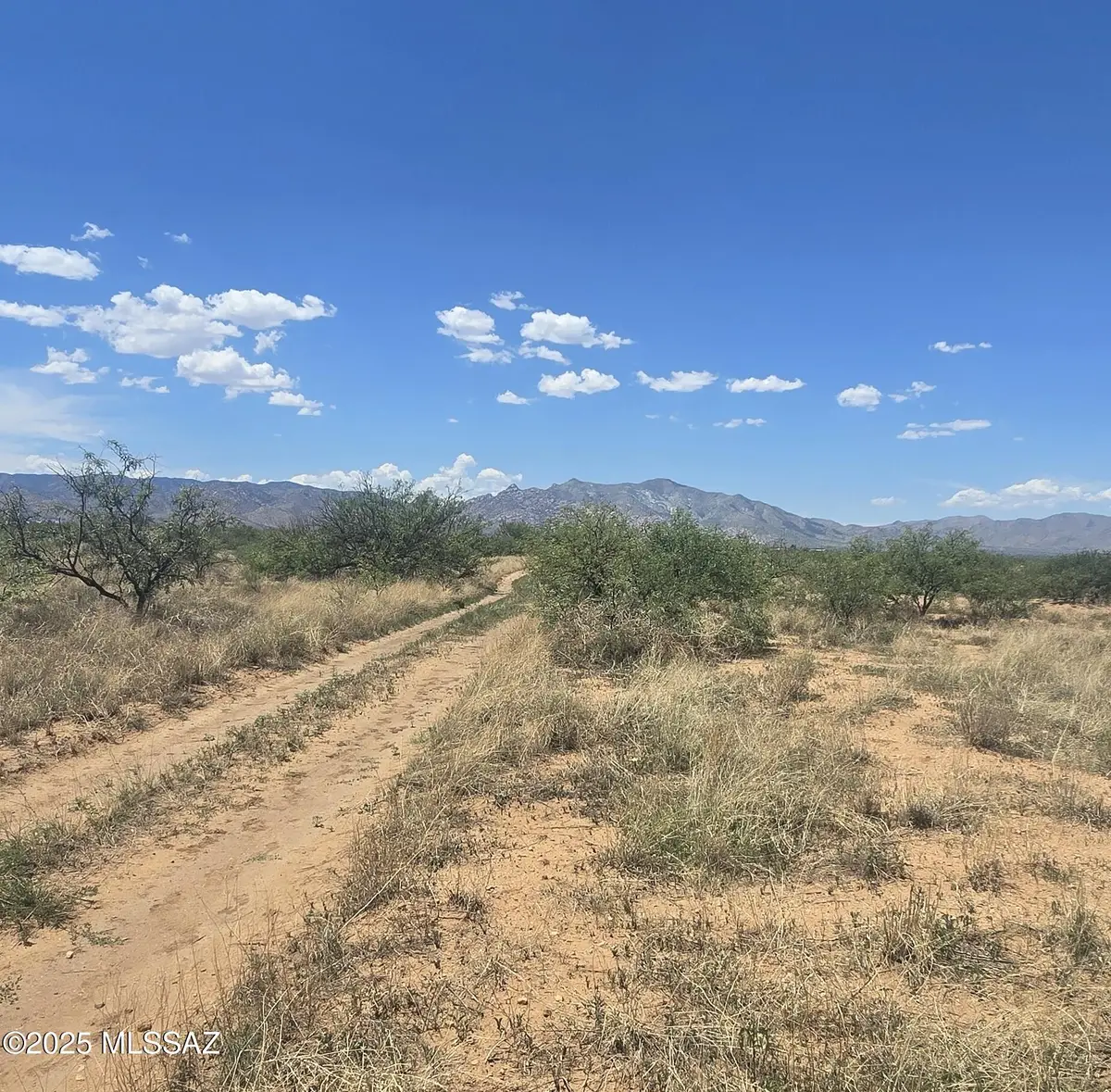 TBD E Geneva, Pearce, AZ 85625 - Image #1