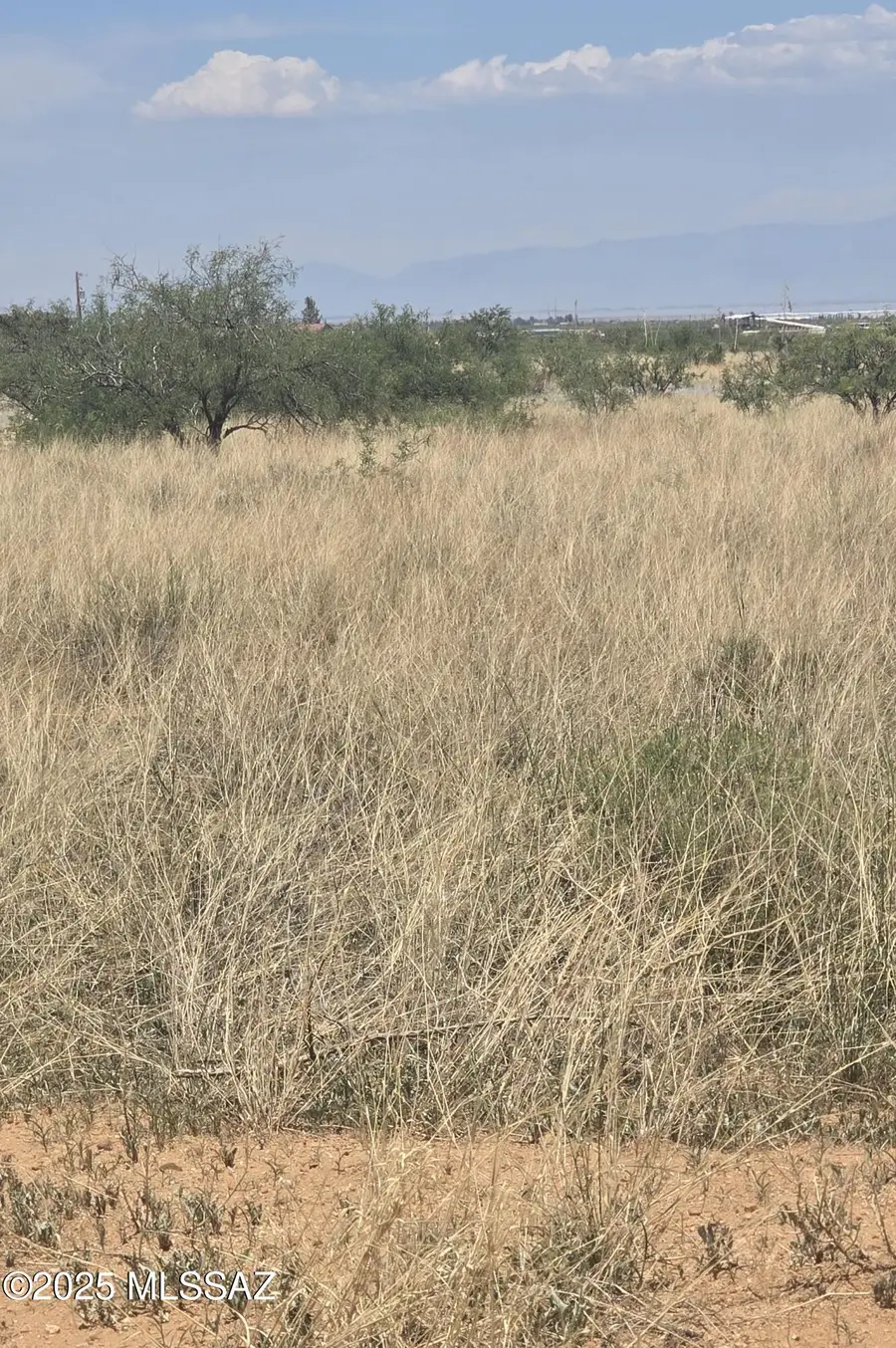 TBD E Geneva, Pearce, AZ 85625 - Image #3