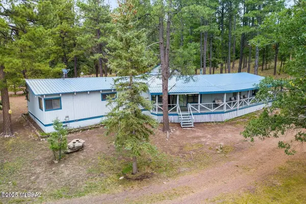 52 County Road 2271, Alpine, AZ 85920