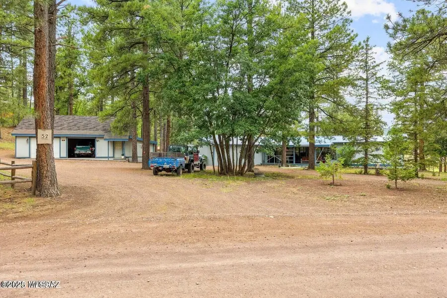 52 County Road 2271, Alpine, AZ 85920 - Image #3