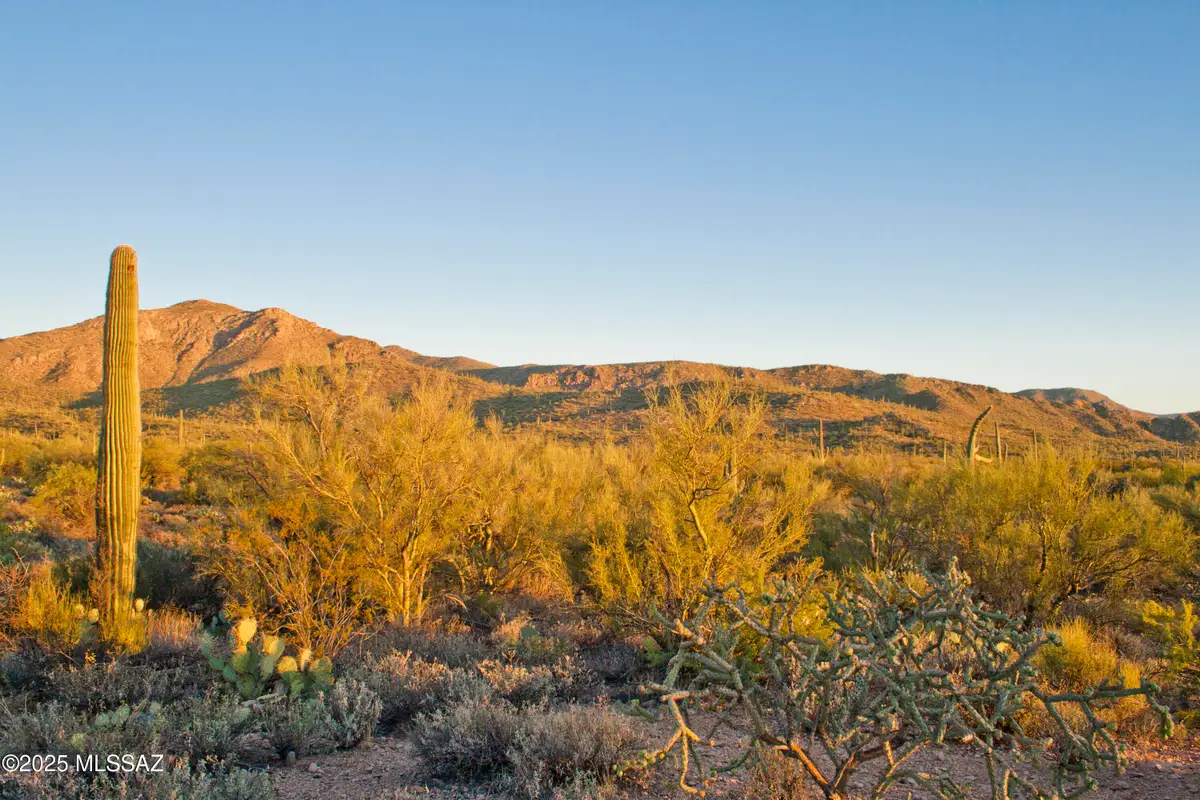 0 Silverian Road, Marana, AZ 85658 - Image #1