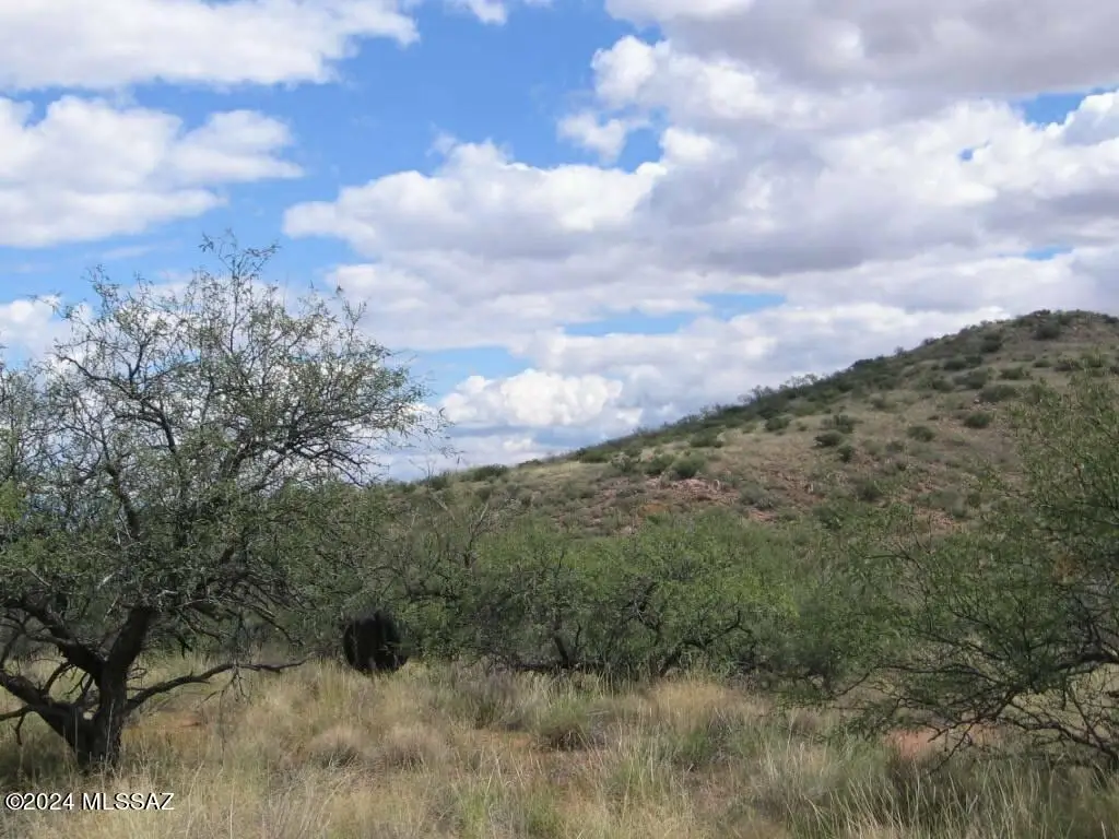 39 +/- Acre On Rambling Road #100, Elfrida, AZ 85610 - Image #1