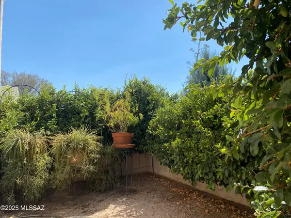 7921 N Casas Carmen, Tucson, AZ 85742